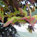 미리내캠프 이미지