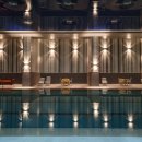 에프스포렉스 이미지