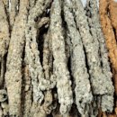 참진유통 이미지