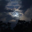 요가MOON 이미지