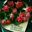 꽃 - 서구 승학로495번길 4-14 | 꽃
