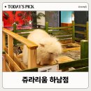 하남시 차량등록사무소(1층) | 쥬라리움 하남점 방문 후기, 기대 달리 아쉬웠던 부분