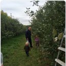 호박농장 이미지