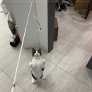 치료해 주오 이미지