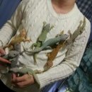 타워약국 이미지