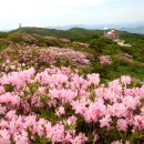 42 충청일보