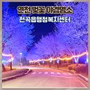 전곡읍 행정복지센터 | 연천 벚꽃 야경 전곡읍행정복지센터