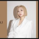 셜리헤어 이미지
