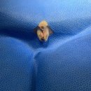 하트온동물병원 이미지