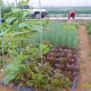 동수농장 이미지