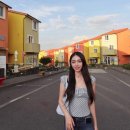 소락스위스 이미지