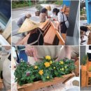 인지농장 이미지