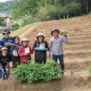 여자만마을 이미지