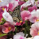 월미공원 서문 이미지