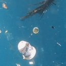 무교동왕족발 이미지