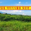 향토공인중개사사무소 이미지