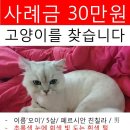 인천시 부평구 부개3동 주공아파트 308동 인근 이미지