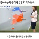 하늘보라 티스토리