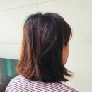 신설동역 미용실 중단발 셋팅펌 라피오리레헤어 동묘앞점 나겸쌤 후기