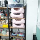 삐삐애견 이미지