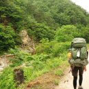 응복산장 네이버블로그