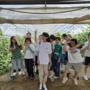 유재근농장 이미지