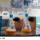 바이오크래프트