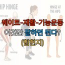 마린코어PT샵 | [마린시티피티 / 해운대피티 / 부산피티] 웨이트-재활-기능운동 이것만 잘하면 된다?