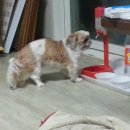 이형윤동물병원 이미지