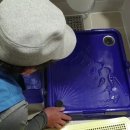 도그동물농장 이미지