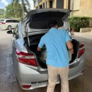 강과바다의 탑 | 즐기는 현지 투어 셀프 단독 육상투어 코스ㅣ필리핀 보홀 초콜릿힐스 안경원숭이 로복강 크루즈 가격