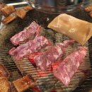 돈구이불붙었네 이미지