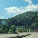 삼척 2박 3일 여행 두레박 고을 솔직 후기 낙지 보쌈 녹두전