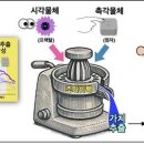 뉴런