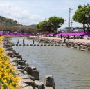 양지천2 이미지