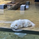 스테이 별 이미지