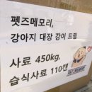 강이랑 아지랑 이미지