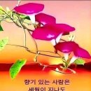 행복한 휴일되세여 이미지