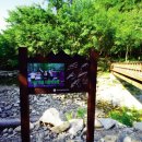 자연휴양림 깊은 물놀이장 이미지