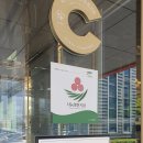 (주)카펙발레오 - 성주군 | (주)카펙발레오