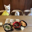 용인종합운동장(주차장입구쪽) 이미지