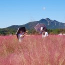 선희농장 | 콩깍지 11월단풍여행.마장호수.포천아트밸리.산정호수. 비둘기낭폭포.이천쌀들밥. 제부도해상케이블카...