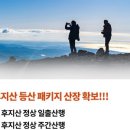 나무여행사 이미지