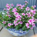 덕이 농장 이미지