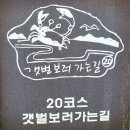 20230612(월) 강화나들길 열일곱번째 20코스 - 갯벌보러 가는 길 이미지