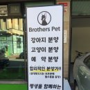 펫브라더스 이미지