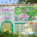 불암산 | 2026 불암산 철쭉제 실시간 후기 개화 상태 총정리