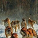 종일식당 이미지