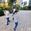 용주짓수화성 | 강동구 상일동 만족스러운 요인요아웃 YOINYOOUT 후기