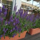 닥터방의원 이미지